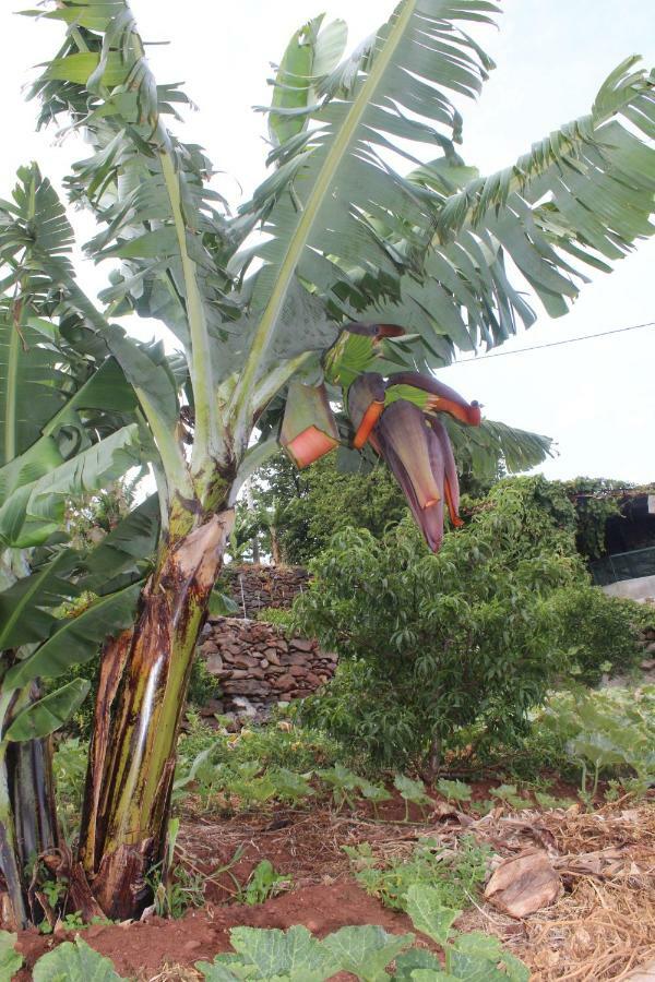 Vivenda Da Natureza Santa Cruz  Ngoại thất bức ảnh