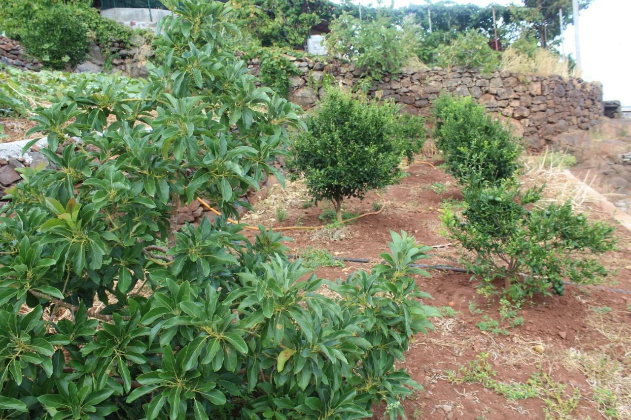Vivenda Da Natureza Santa Cruz  Ngoại thất bức ảnh
