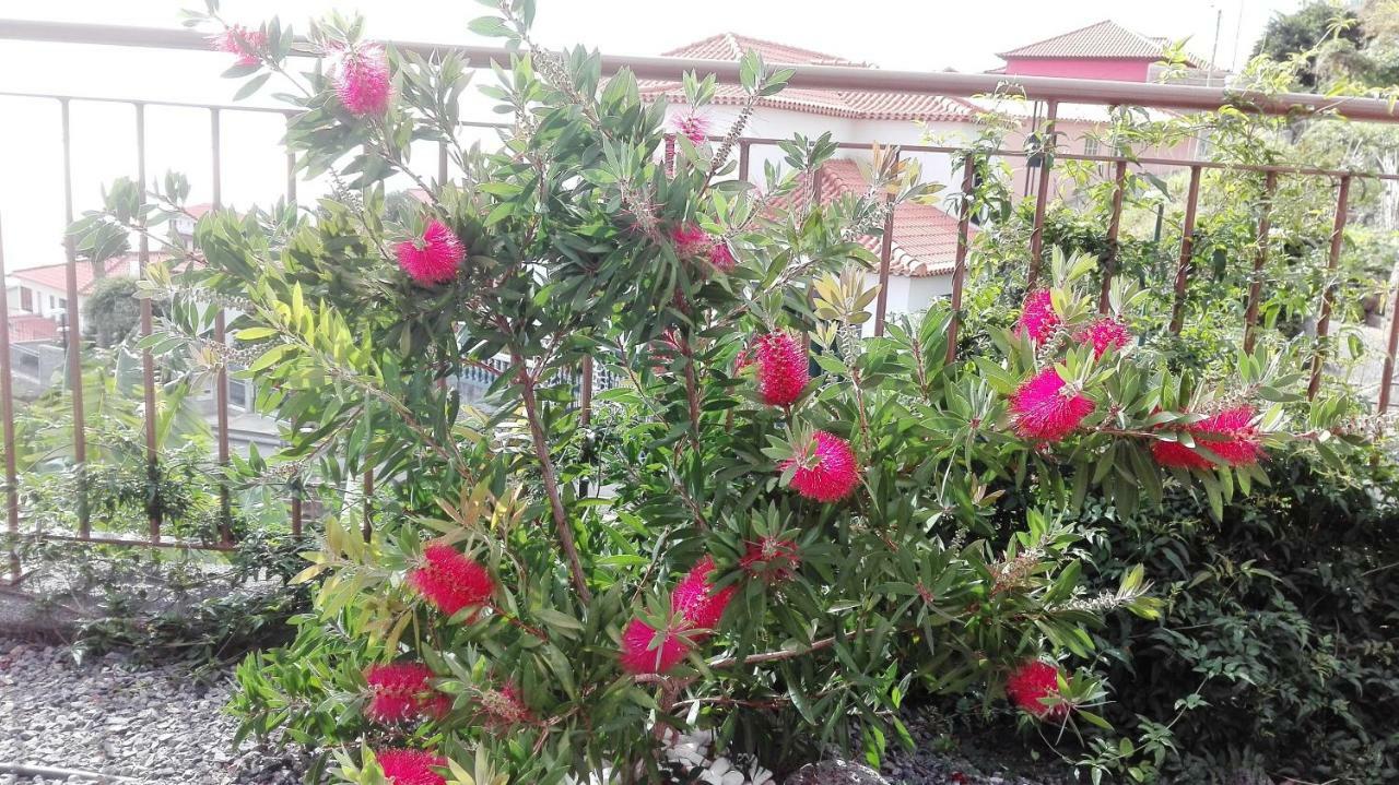 Vivenda Da Natureza Santa Cruz  Ngoại thất bức ảnh