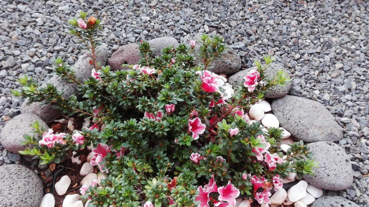Vivenda Da Natureza Santa Cruz  Ngoại thất bức ảnh