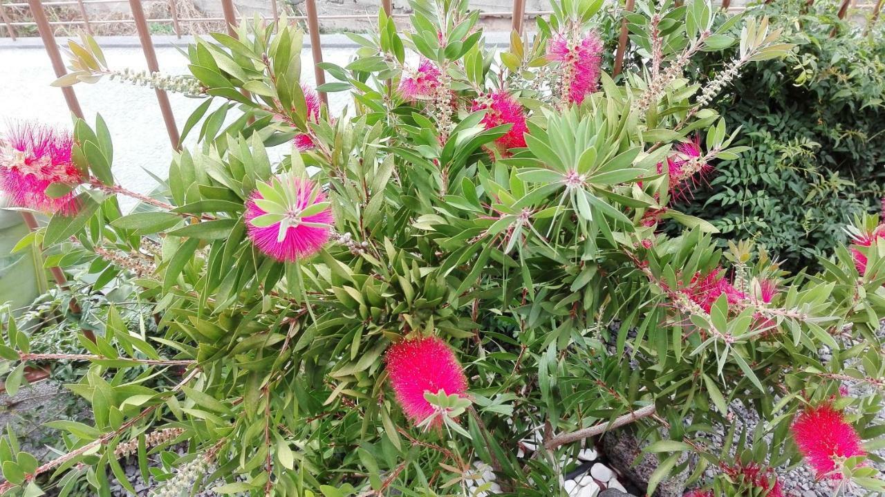 Vivenda Da Natureza Santa Cruz  Ngoại thất bức ảnh
